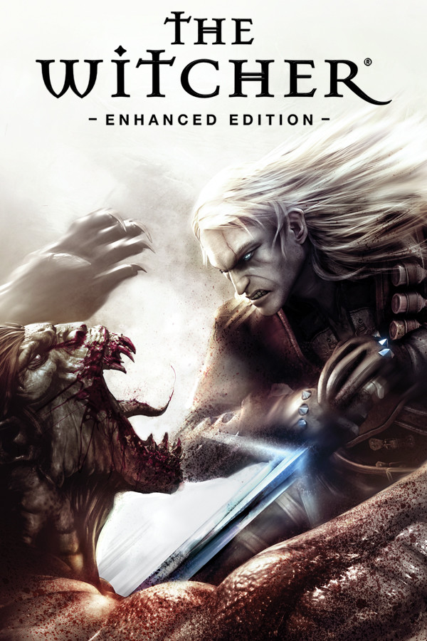 The Witcher 1 afişi